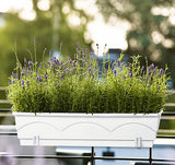 Emsa Lago Garden window box 100cm white - 501833